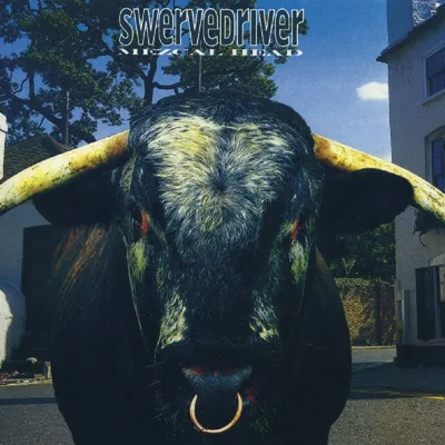 Produktbild von Swervedriver: Mezcal Head