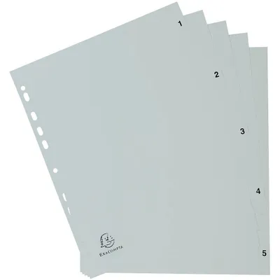 Image de Exacompta 1705E Intercalaire DIN A4 à 5 onglets, blanc, format A4