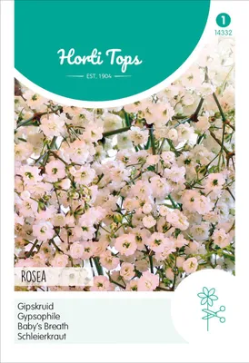 Produktbild von Schleierkraut Rosa | Blumensamen von Hortitops