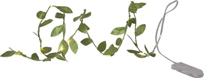 Immagine prodotto di Star Trading Luci LED "Leaf", foglie verdi