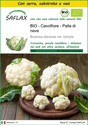 Immagine prodotto di SAFLAX Insieme di coltivazione -- Cavolfiore - Palla di neve - 70 semi - Brassica