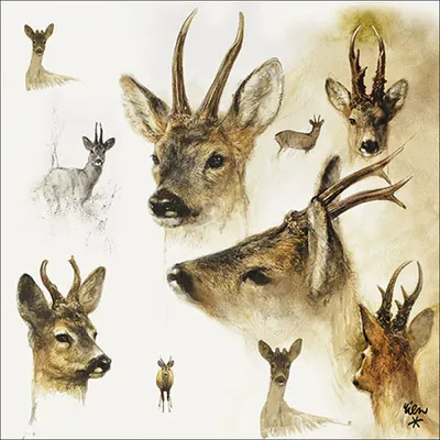 Produktbild von Servietten Papier 33x33cm 3-lagig mit Hirsch Motiv 20 Stück