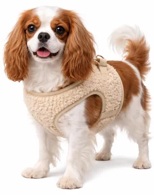 Produktbild von Flamingo Step&Go Pookie Hundegeschirr, Beige, verstellbar, 2 Anti-Zug-Ringe, atmungsaktives Mesh, Größe S