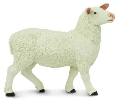 Image de Safari Ltd Figurine de mouton blanche À partir de 3 ans Enfants Blanche À partir de 3 ans