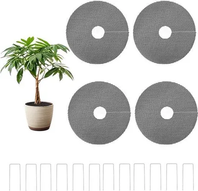 Image de Lot d'étiquettes pour pots de fleurs - 30 cm