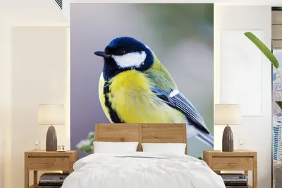 Produktbild von MuchoWow® Fototapete für Wohnzimmer oder Schlafzimmer Wandtapete Vinyl Motivtapete Kohlmeise - Vogel - Zweig - 190x260 cm - Papiertapete