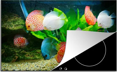 Produktbild von KitchenYeah© Herdabdeckplatte Fische in einem Aquarium , 81x52cm, Küche Deko, Glaskeramikkochfeld Herdabdeckung, Abdeckplatte fùr Kochfeld