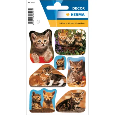 Produktbild von HERMA Sticker Katzenfotos 3 Blatt / 21 Sticker, Papier, Mehrfarbig, Katze, Permanent, Katzen, 21 Stück(e)
