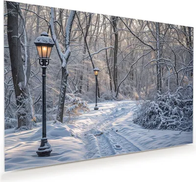 Produktbild von Glasbild 75x50cm in XXL für Wohnzimmer, Schlafzimmer Motiv Verschneiter Waldweg