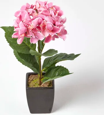 Obrázek produktu pro HOMESCAPES Umělá hortenzie v černém květináči, růžová