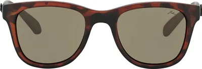 Immagine prodotto di John Doe Sonnenbrille Dio della velocità Corno / Marrone