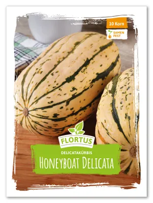Produktbild von Delicatakürbis Honeyboat Delicata | Delicatakürbissamen von FLORTUS