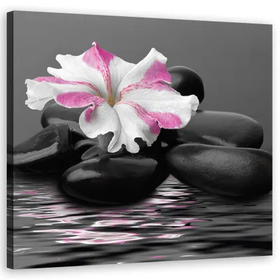 Produktbild von Leinwandbild Steine Rosa Blume 60x60 Feeby Schwarz bild für die wand bereit zum aufhängen
