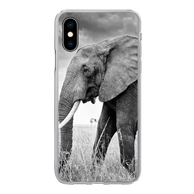 Produktbild von MuchoWow® Handyhülle Schutzhülle Hülle für iPhone X Elefant - Gras - Tiere - Schwarz und weiß Silikon Softcase Handy Hülle - Handyhülle