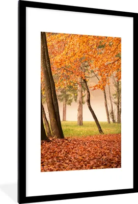 Produktbild von MuchoWow® Gerahmtes Poster Blätter - Herbst - Wald 60x90 cm - Poster mit Schwarzem Bilderrahmen Wandposter Rahmen Foto Bilder - Dekoration - Wandposter Wohnzimmer - Hochwertig