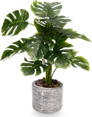 Produktbild von Künstliche Pflanze MONSTERA, 37 cm