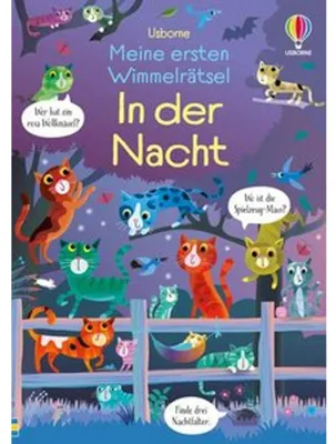 Image de Meine ersten Wimmelrätsel: In der Nacht