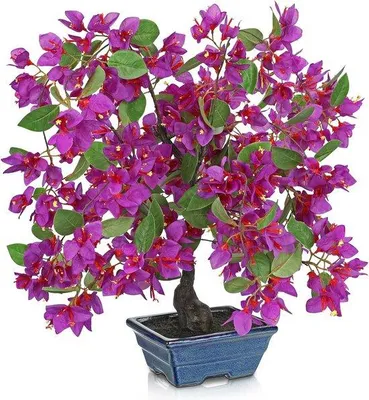 Obrázek produktu pro Keramická květina 47 cm, dekorativní