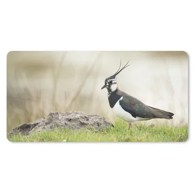 Produktbild von MuchoWow® Schreibtischunterlage Vogel - Gras - Tiere - Natur - Kiebitz 80x40 cm - XXL Mauspad - Gaming Mauspad