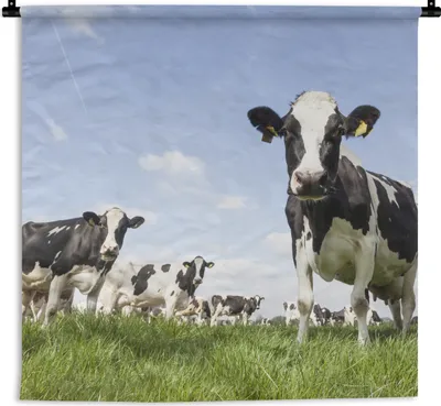 Produktbild von MuchoWow® Wandteppich Wandbehang Kühe - Gras - Tiere - Sonne - Bauernhof 90x90 cm Tapisserie Dekoration Wandtuch - Wandaufhänger