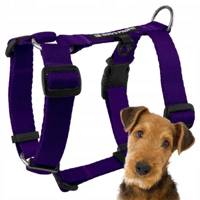 Produktbild von Dog's Profit Guard Hundegeschirr Lila Verstellbar Robust