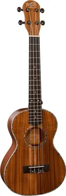 Produktbild von Barnes & Mullins BMUK7T