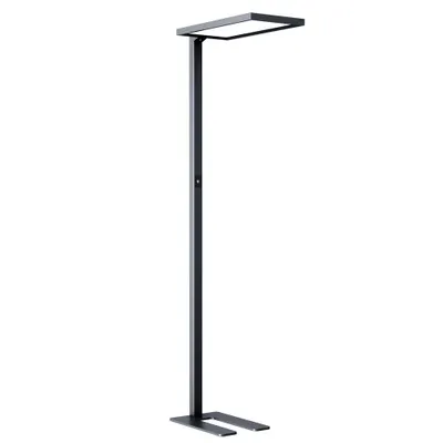 Produktbild von LED Stehleuchte Luka Schwarz Up & Down 2 x 40W 8400lm Neutralweiß 4000K UGR<18 dimmbar + Bewegungssensor + Tageslichtsensor