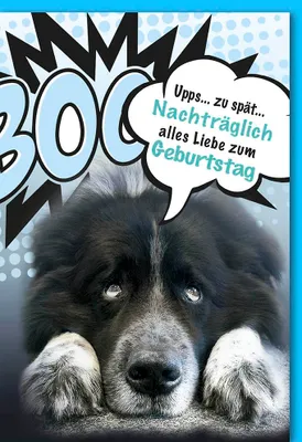 Produktbild von Geburtstag nachträglich - Glückwunschkarte mit Umschlag - Hund