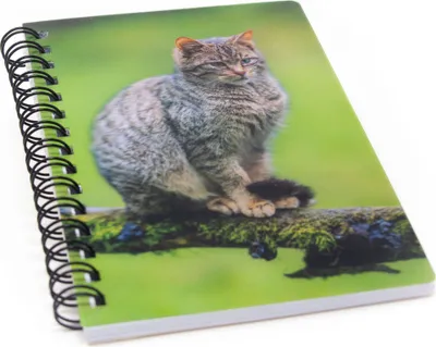 Produktbild von 3D Notizbuch - Wildkatze - klein