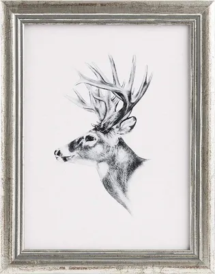 A framed pencil sketch of a deer's head.