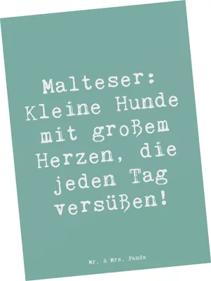 Produktbild von Mr. & Mrs. Panda Fotokarte Spruch Malteser Herz - Meeresbrise - Geschenk, kleine Hunde, Hunderassen, Ansichtskarten, Postkarten, Kunstkarten, Eigenschaften, süße, Hund