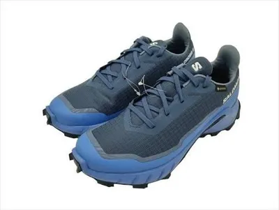 Produktbild von Salomon ALPHACROSS 5 GTX W – Artikel 473107 – Grösse 36