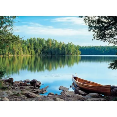 Produktbild von COBBLE HILL Puzzle Naturspiegel 1000 Teile