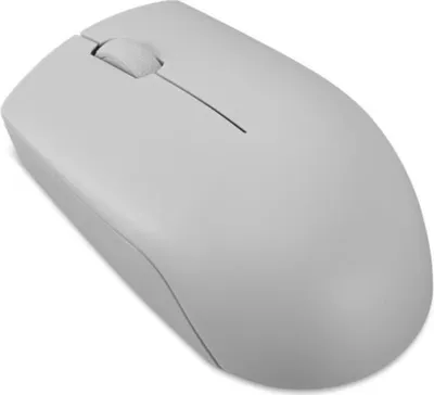 Image de Souris sans fil, Lenovo 300, Compacte, Optique, Grise, avec batterie