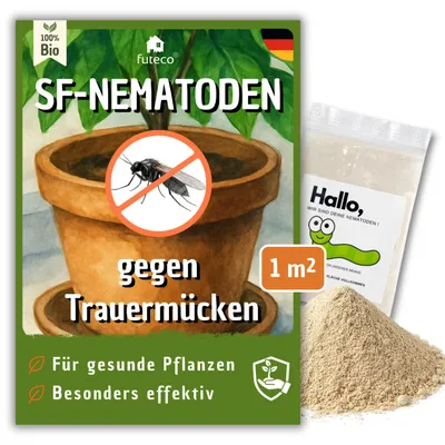 Produktbild von Futeco® – SF-Nematoden (1 Mio.) gegen Trauermücken – für 10 Pflanzen / 1m² Fläche – zum einfachen gießen