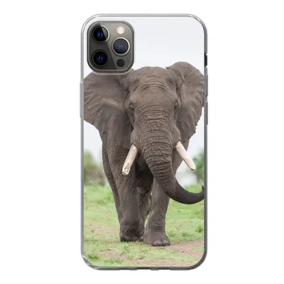 Produktbild von MuchoWow® Handyhülle Schutzhülle Hülle für iPhone 13 Pro Max Elefant - Tiere - Gras - Natur Silikon Softcase Handy Hülle - Mobiltelefon
