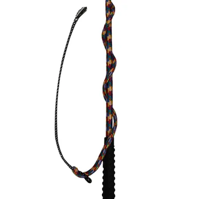 Produktbild von EQuest Longierpeitsche - bunt multi - 160 cm