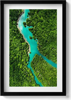 Produktbild von Fluss in tropischen Wäldern aus der Vogelperspektive– Wandbild mit Rahmen – Gerahmtes Bild  – Wanddekoration – 40x60 cm –  Schwarz