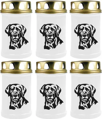 Image de Bougie funéraire - Lot de 6 - Blanc 48h ( couvercle doré ) - Labrador