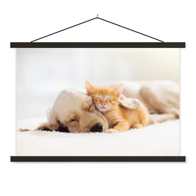 Produktbild von MuchoWow® Textilposter Tiere - Hund - Kätzchen - Rot 120x80 cm mit schwarzem Rahmen - Wanddeko