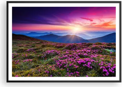 Produktbild von Gerahmtes Poster - Schwarzer Rahmen - Wiese Berg Himmel Landschaft - 100x70 cm - Wand Bild - Wanddeko - Wandbilder - Wandposter - Bilderrahmen - Bilder - Kunstdruck - Wandbild - P2BAA100x70-2719