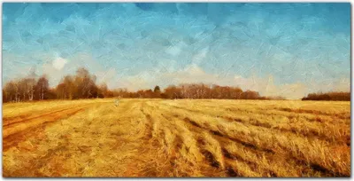 Produktbild von Coloray Bild aus Leinwand 140x70 Leinwand Dekoration - Dorfwaldfläche