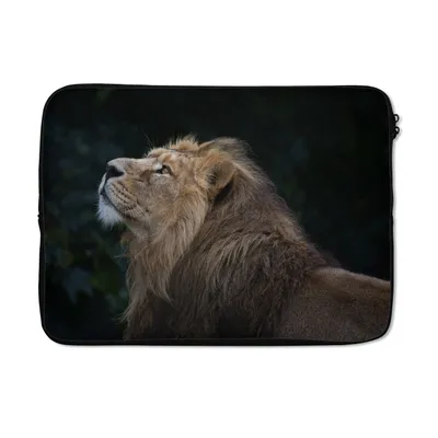 Produktbild von MuchoWow® Laptop Hülle 14 ZollLöwe - Schwarz - Dschungel Laptoptasche - Laptoptasche - Stoßsicher - Schutzhaube