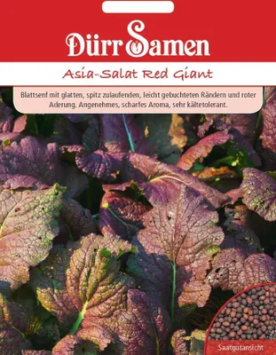 Produktbild von Dürr-Samen - Asia-Salat Red Giant - Saatgut - 1897