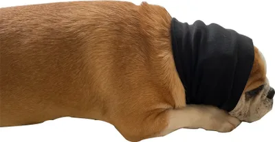 Immagine prodotto di INF Cuffie antirumore per animali domestici L