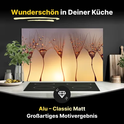 Produktbild von Spritzschutz Küchenrückwand aus Aluminiumverbund in Matt 60x40 cm - Wassertropfen auf Löwenzahnsamen