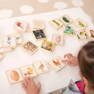 Produktbild von Tickit Wooden Lifecycle Tiles, 0 Jahr(e), Holz, Mehrfarbig