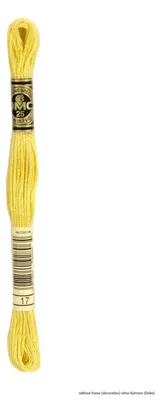 Produktbild von DMC Stickgarn Mouline Special 117MC -17, 6-fädig, 8m
