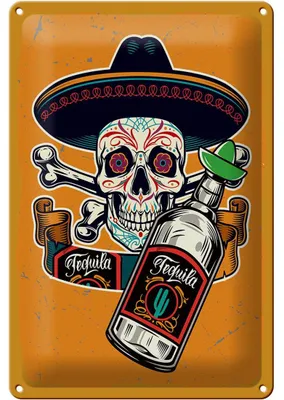 Produktbild von Blechschild Spruch Totenkopf Tequila 20x30cm