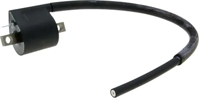Obrázek produktu pro Zündspule Polini digital pro Piaggio LC, Minarelli AC, LC, AM6, Derbi D50B0, EBE, EBS, Vespa 125 ET3